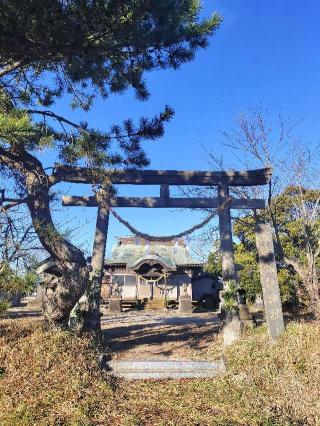 諏訪神社の参拝記録(さとみさん)