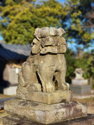 諏訪神社の参拝記録(たけちゃ～ん⚾さん)