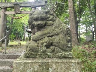 國祖神社の参拝記録(さとみさん)