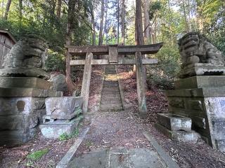 高野根神社の参拝記録(shikigami_hさん)