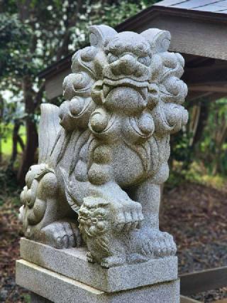 津神社の参拝記録(たけちゃ～ん⚾さん)