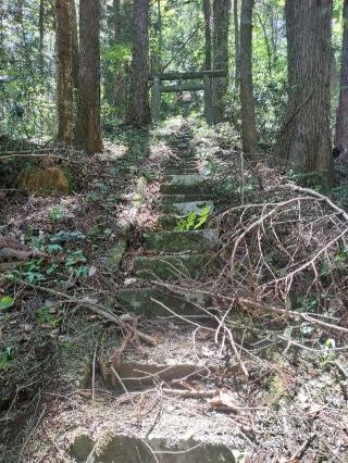 稲荷神社の参拝記録(さとみさん)
