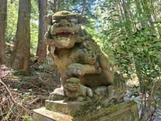 稲荷神社の参拝記録(さとみさん)
