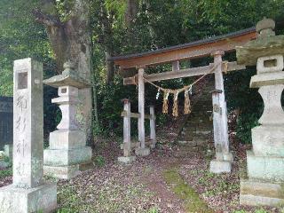 角折神社の参拝記録(🐺⛩️🐺さん)