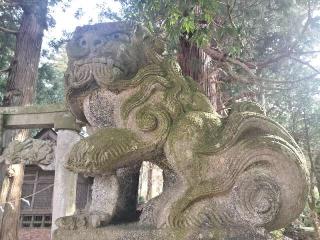 五龍地神社の参拝記録(さとみさん)