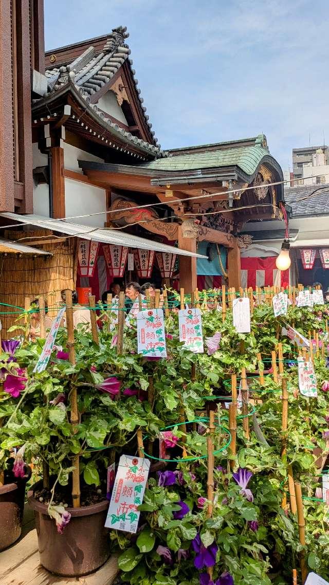 眞源寺(入谷鬼子母神)の参拝記録7