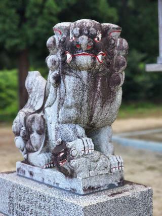 今泉神社の参拝記録(たけちゃ～ん⚾さん)