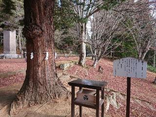 土津神社の参拝記録(おととさん)