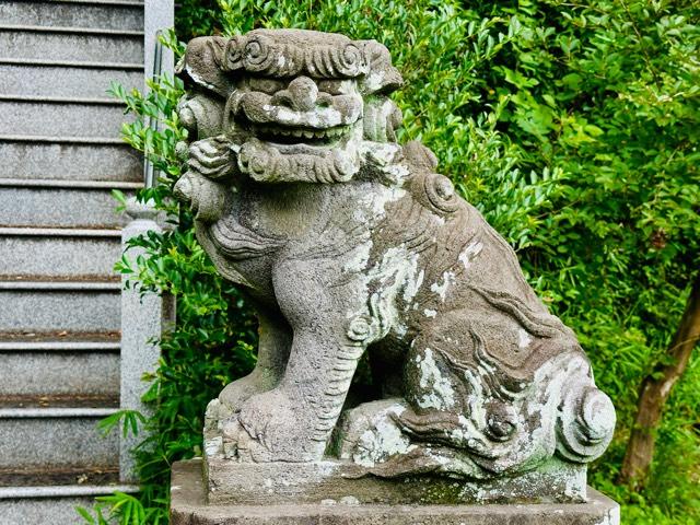 荒川神社の参拝記録1