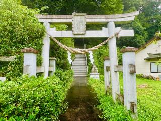 荒川神社の参拝記録(shikigami_hさん)