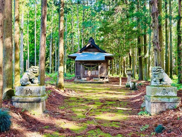 温泉神社の写真1