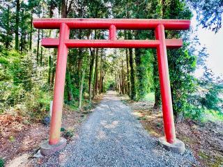 玉藻稲荷神社の参拝記録(shikigami_hさん)