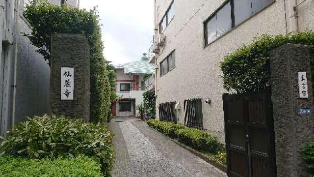 峰松山 遮那院 仙藏寺の参拝記録6