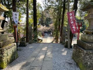 間々田八幡宮の参拝記録(ギャズさん)