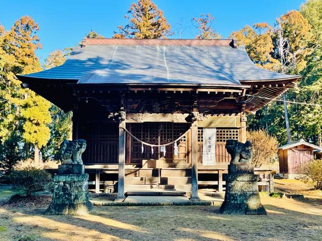 栃木県小山市大川島93 大川島神社の写真1