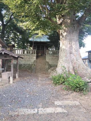 国府神社の参拝記録(さとみさん)