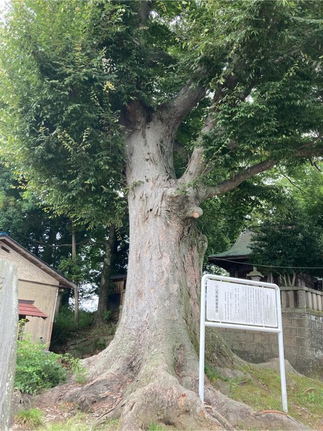 国府神社の参拝記録3