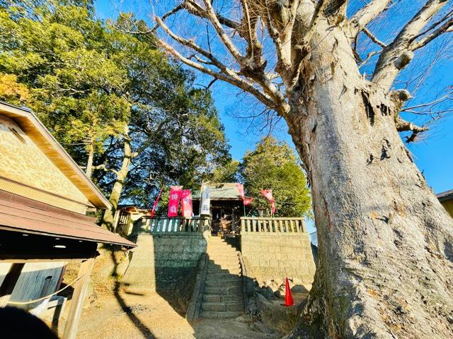 栃木県小山市下国府塚654 国府神社の写真1