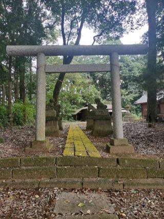 智方神社の参拝記録(さとみさん)