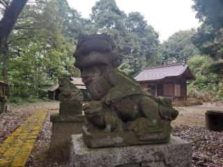 智方神社の参拝記録(さとみさん)