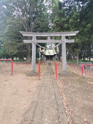 野田神社の参拝記録(さとみさん)