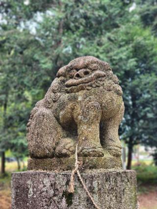 野田神社の参拝記録(たけちゃ～ん⚾さん)