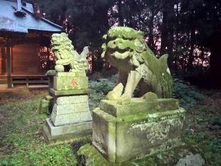 氷川神社の参拝記録(さとみさん)