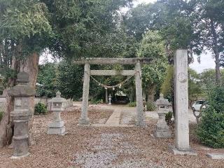 氷川神社の参拝記録(さとみさん)