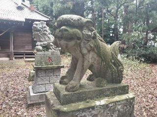氷川神社の参拝記録(さとみさん)