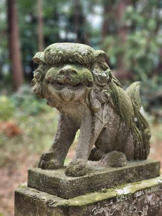 氷川神社の参拝記録(たけちゃ～ん⚾さん)