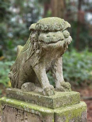 氷川神社の参拝記録(たけちゃ～ん⚾さん)