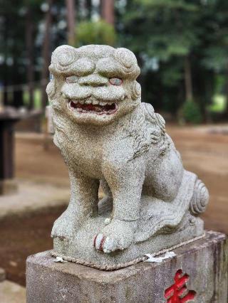 須賀神社の参拝記録(たけちゃ～ん⚾さん)