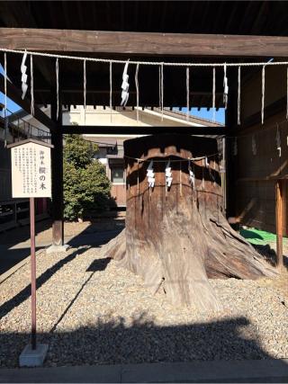 須賀神社の参拝記録(ガーネットさん)