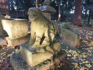 八幡宮の参拝記録(さとみさん)