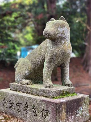 高尾神社の参拝記録(たけちゃ～ん⚾さん)
