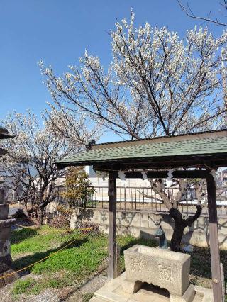 熊野神社の参拝記録(zx14rさん)