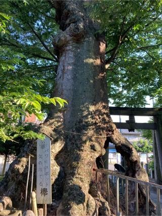 上羽田八幡宮の参拝記録(レモンサワーさん)