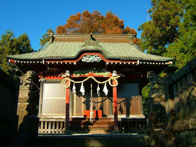 栃木県佐野市栃本町2856 根古屋神社の写真1