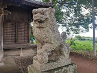 高良神社の参拝記録(さとみさん)
