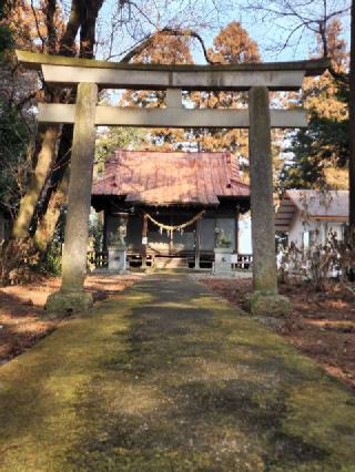 橋本神社の参拝記録(たけちゃ～ん⚾さん)