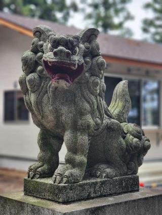 橋本神社の参拝記録(たけちゃ～ん⚾さん)