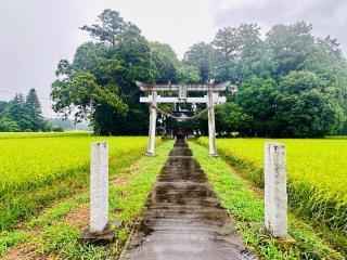 髙靇神社の参拝記録(shikigami_hさん)
