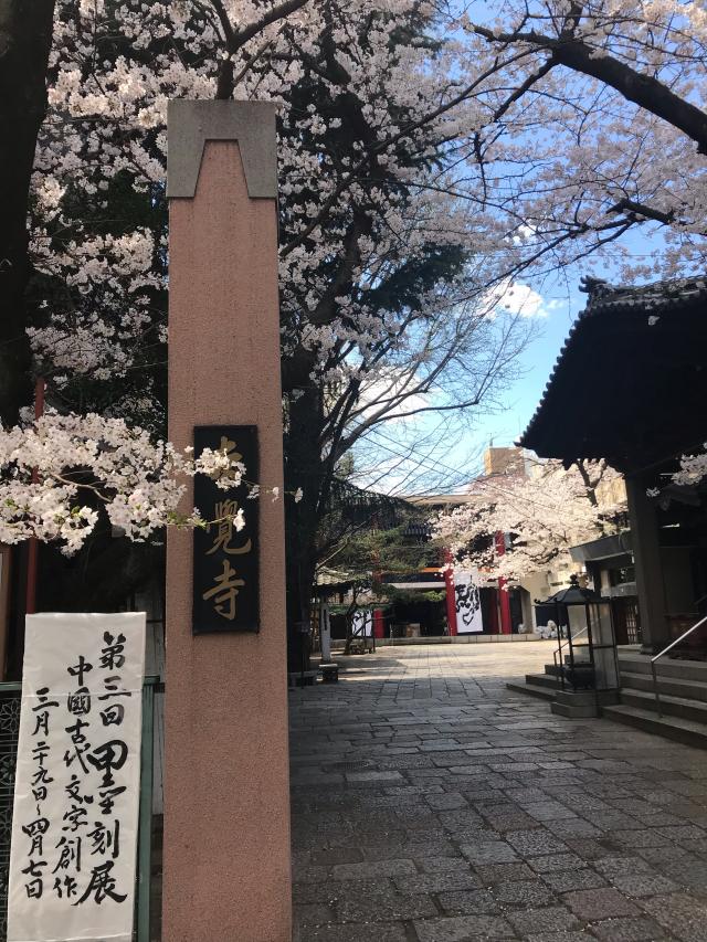 本覚寺の参拝記録10