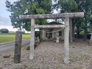 桜木神社の参拝記録(さとみさん)