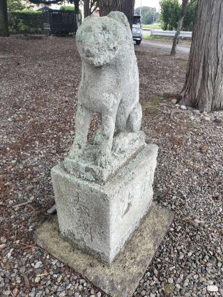 桜木神社の参拝記録(さとみさん)