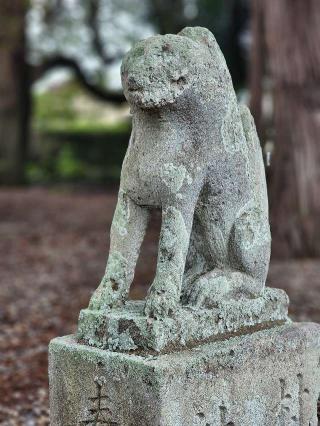 桜木神社の参拝記録(たけちゃ～ん⚾さん)