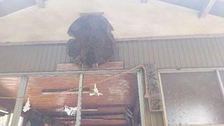 天神神社の参拝記録(miyumikoさん)