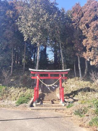 八幡宮の参拝記録(さとみさん)