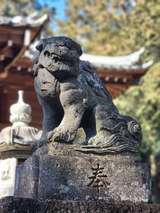 八幡宮の参拝記録(たけちゃ～ん⚾さん)
