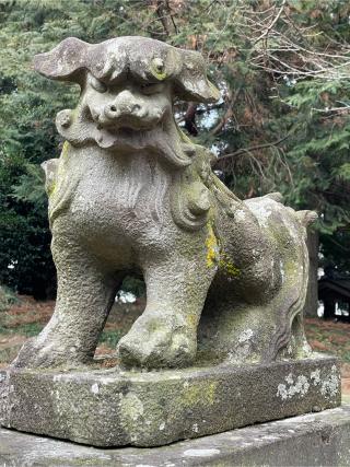 蔵井諏訪神社の参拝記録(shikigami_hさん)